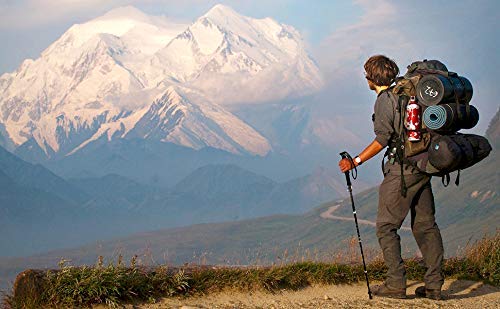 Vovoly Trekking Poles, Walking Trail Sticks with Foam Grip, Adjustable Lightweight Anti-Shock for Hiking, Walking, Traveling, Backpacking (2 Pack)