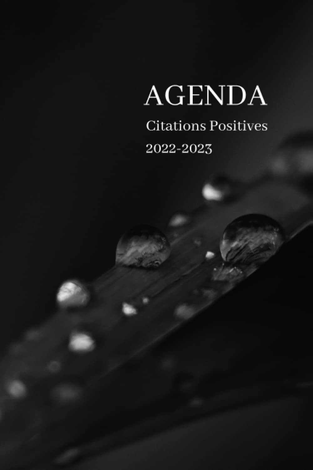 Amazon Com Mon Agenda Citations Positives 22 23 Pour Augmenter Le Bien Etre La Confiance En Soi Par La Pensee Positive Avec Des Citations Positives Et Phrases Inspirantes French Edition Si Hana