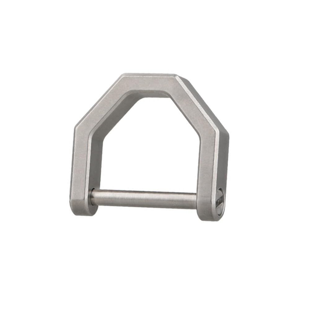 DONGKER Titanium D Rings,TC4 Titanium D-Shaped Car Key Ring Car Fob Key Chain Holder for Home Car Keys