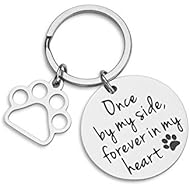 VANLOVEMAC Loss of Pet Memorial Keychain Dog Cat Remembrance Jewelry Pet Sympathy Gift Dog Remembrance for Women Men Once by My Side Forever in My Heart Key Ring