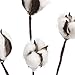 Group of 4 Lifelike Artificial Cotton Plant Embellishing Sprays for Florals, Crafting and Decorating