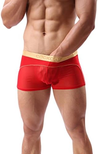TATGB Mens Underwear Sexy Boxers Shorts Briefs Perspective Boxer Underwear NN-3