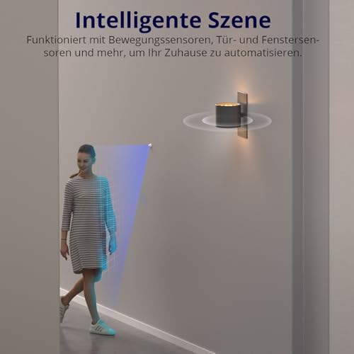 MINIR4 WiFi Smart Schalter 2 Wege - Wlan Lichtschalter mit Timing-Funktion, Relay Split Mode, 2.4G WiFi, Funktioniert mit Alexa, Google Home Assistant, Fernbedienung über eWeLink App