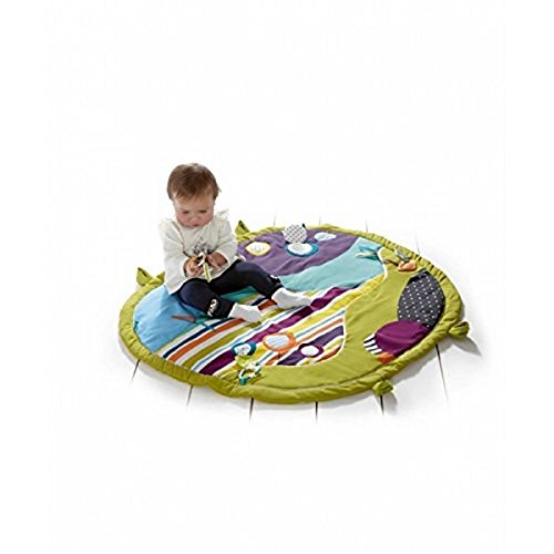 magic stargaze playmat & gym