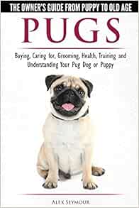 when do pugs go into heat for the first time