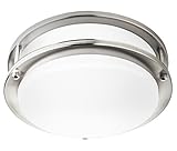 Hyperikon LED Flush Mount Ceiling Light, 10