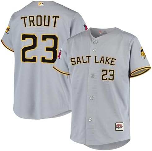 Amazon.com: Outerstuff Salt Lake Bees Gray Kids Youth 8-20 Primary