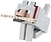 Minecraft Wolf 5