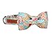 Lionet Paws Dog and Cat Collar with Bowtie,Soft and Comfortable,Adjustable Collar