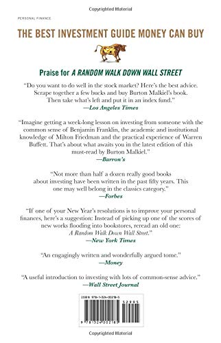 41YsO6VDl2L - A Random Walk Down Wall Street: The Time-Tested Strategy for Successful Investing (Twelfth Edition)