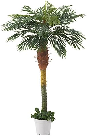 Amazon 人工観葉植物 デラックスパームツリー ヤシの木 立ち木 H180cm 1台 人工樹木 フェイクグリーン 造花 大型サイズ 人工観葉植物 通販