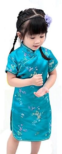 Hooyi Baby Girls Chinese Qipao Floral Bamboo Cheongsam New Years Gift Asian Costume Dress Outfit