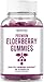 Havasu Nutrition Elderberry Gummies 100mg - Supports Immune System Health - Made with Plant-Based Pectin - NO Gelatin, NO Fructose Corn Syrup, Gluten Free - Natural Ingredients, 60 Gummies primary