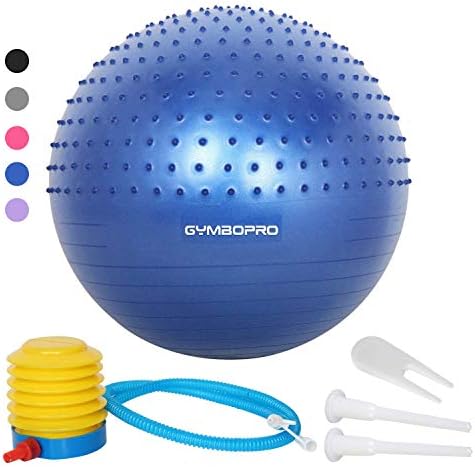 GYMBOPRO Exercise Ball Massage Point Design Professional Stability Ball Chair Anti-Burst Birthing Ball with Quick Pump for Gym, Fitness, Stability, Balance & Yoga(Blue-2, 65CM)
