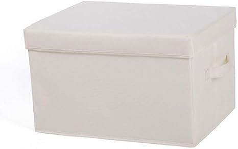 Amazon Alsky ふた付き 収納ボックス 幅41 奥行31 高さ25cm 取っ手付き ホワイト 収納ケース ボックス オンライン通販