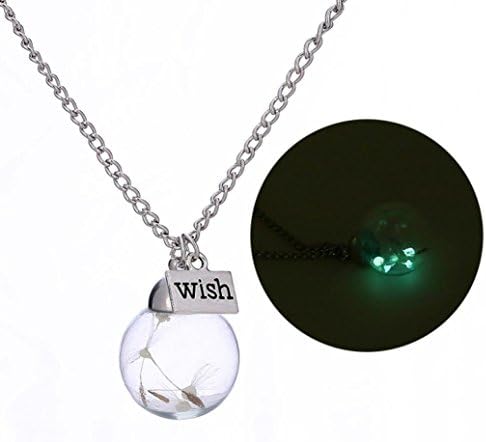 RTYou Fashionable Necklaces,Crystal Ball Wish Noctilucence Dandelion Dried Flower Pendant Unique Necklace (Multicolor)