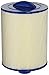 Pleatco PWW50P3 Replacement Cartridge for Waterway Front Access Skimmer (2 required), 1 Cartridge