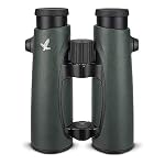 41YtG2aZ5LL. SS150 Swarovski-EL-8x32-Binoculars-Green