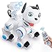 Toch RC Robot Dog, Cute Pets Smart Intelligent Walk Sing Dance Dog for Kids Toddler Birthday Gift