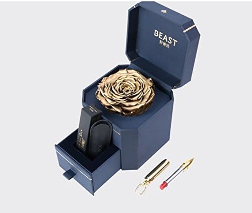 Beauty and the beast rose set,Lipstick,Preserved flower rose,Diy Valentine day,Never withered real Wedding Valentine,Anniversary, Birthday-A