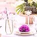 Virine BPA-Free Decore Collection - 48 Pack