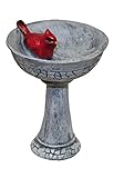 G & F MiniGardenn 10027 Fairy Garden Miniature, Cardinal Birdbath Pick