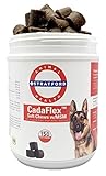 Stratford Pharmaceuticals CadaFlex Soft Chews with MSM - Glucosamine for Dogs - All-Natural Hip & Joint Pain Relief -Glucosamine Chondroitin Dogs Treats - Large Dogs - 150 Soft Chews