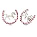 Lucky Charm Horseshoe Horse Mustang Pony Stud Post Earrings Rhinestones Fashion Jewelry (Pink)