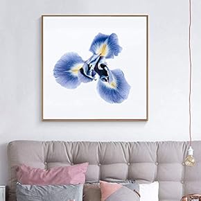 Framed Canvas Wall Art for Living Room, Bedroom Vibrant Flower Illustration XIV Canvas Prints for Home Decoration Ready to Hang - 16x16 inches
