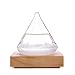 Hotbest GGPOWER Creative Fashion Desktop Water Drop Decoration Seventeenth Century European Weather Forecast Storm Glass Weather Station (Diamond)