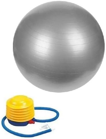 65cm Exercise Ball - Anti Burst Stability Balance Ball Yoga Ball Fitness Ball Balance Ball Birthing Ball Chair, Gym, Core Strength, Fitness, With Foot Inflation Pump Accessories(Sliver)