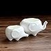 Set of 2 Cute Elephant Flower Pot,Modern White Ceramic Succulent Planter Pots/Tiny Flower Plant Containers (Elephant)