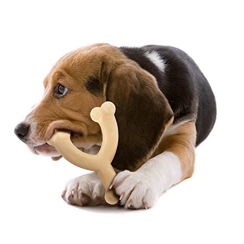 4 Nylabone+DuraChew+Wishbone+Powerful+Chewers