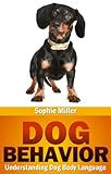Dog Behavior: Understanding Dog Body Language