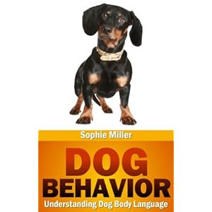 Dog Behavior: Understanding Dog Body Language