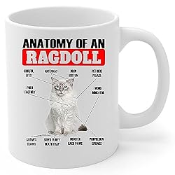 Lovesout Funny Lilac Point Ragdoll Cat Anatomy