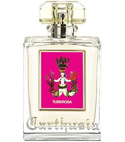 Amazon.com : Carthusia Terra Mia Eau de Parfum - 50 ml : Beauty
