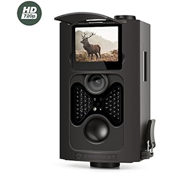 Amazon.com: Amcrest 720P HD Game and Trail Camera - 8MP
