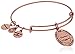 Alex and Ani Because I love you, Sister II Expandable Bangle Bracelet