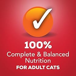 Purina Friskies Gravy Wet Cat Food, Shreds