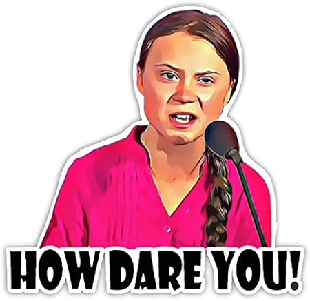 Amazon Com E Z Wraps How Dare You Sticker Greta Thunberg Funny Vinyl 5 X 5 For Laptop Water Bottle Phone Auto Decal Kitchen Dining