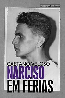 Livro Narciso em férias