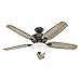 Hunter Fan 54 inch Casual Noble Bronze Indoor Ceiling Fan with Light Kit (Renewed) (Noble Bronze)