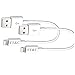 iPhone Charger 20W Fast Charging Type C Wall Charger Block with Cable for iPhone 14/13/12/11/XS MAX/XS/XR/X/iPad/Mini-2Pack
