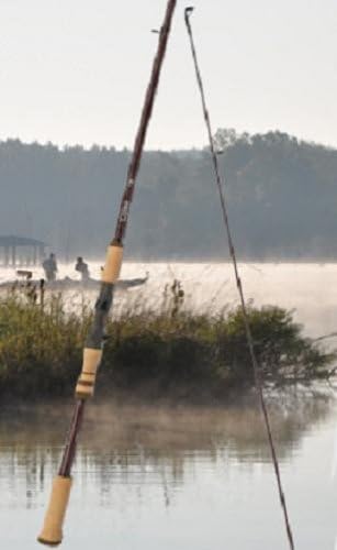 g loomis e6x baitcast