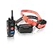 Dogtra 1902NCP FieldStar Remote Training Collar 2-Dog System