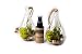 Air Plant River Side Set B, 2 Teardrop Terrarium Combo Pack with 2 oz. Fertilizer
