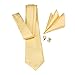 Hi-Tie Mens Gold Plaid Silk Tie Hanky Cufflinks set (Gold)