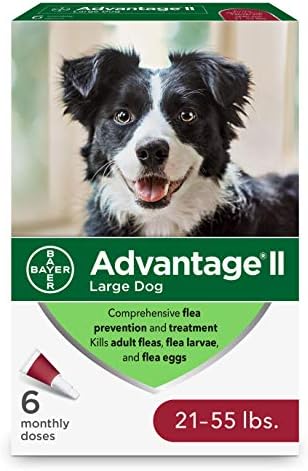 pearl city pet hospital