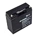 Briggs & Stratton 193043GS Battery Replaces 193463 primary